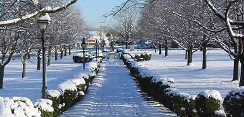 Example 3 - Apartment & Condominium Snow Removal